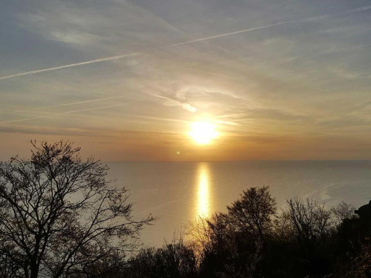 Babbacombe Palms 4*