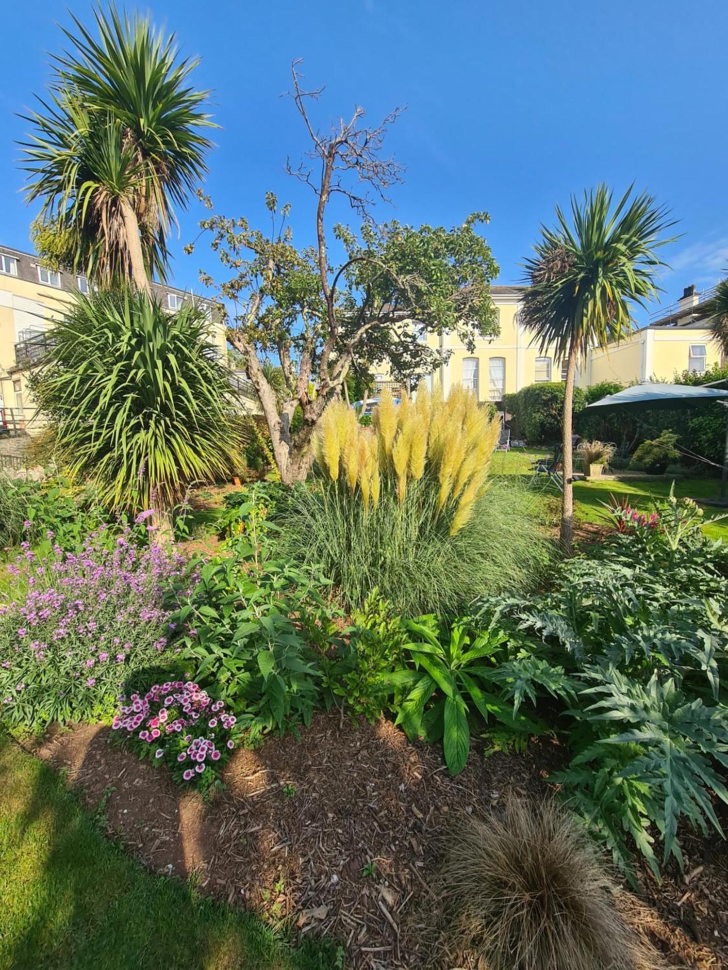 Apartment Meadowside