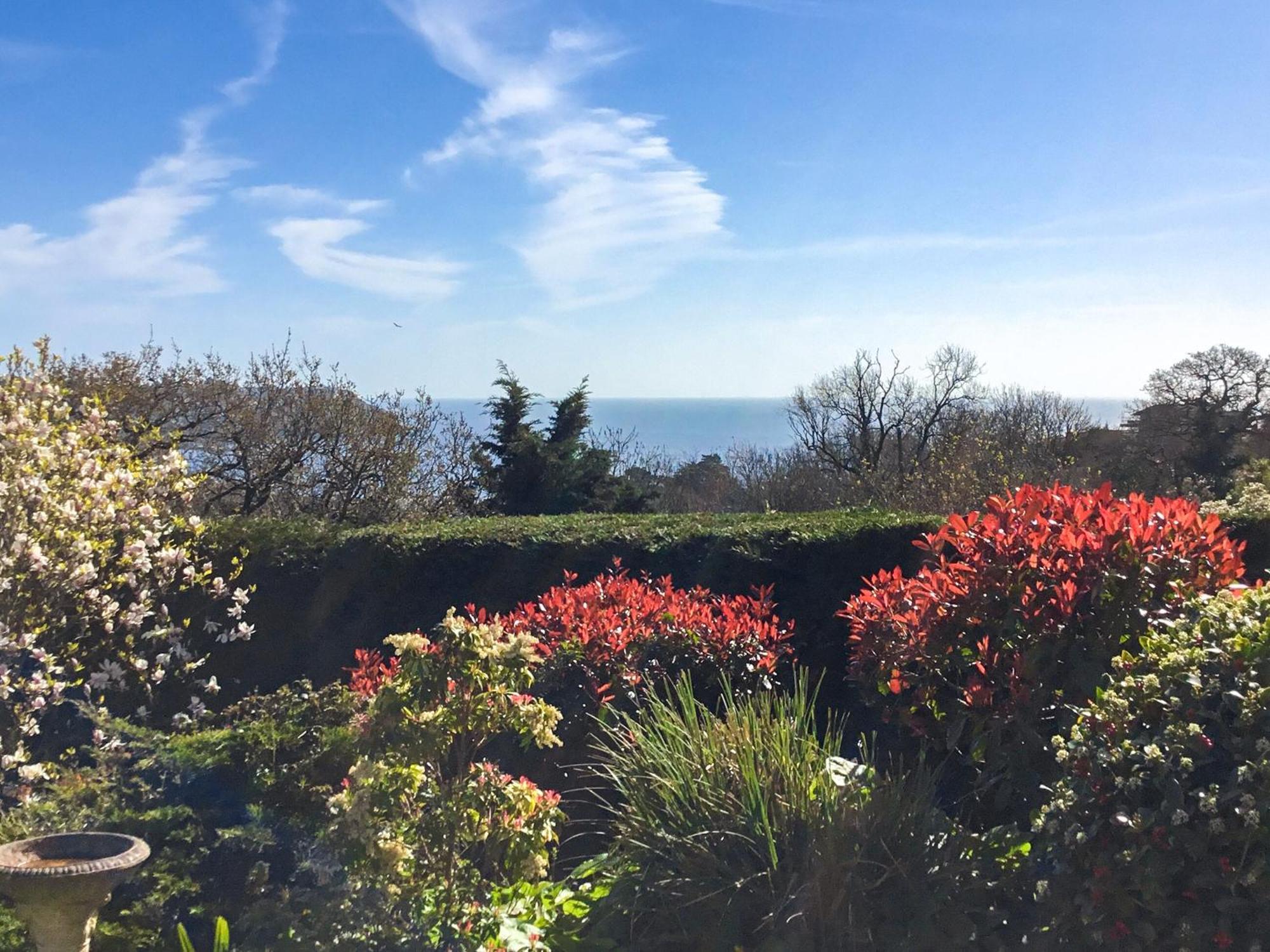The Lookout Holiday home Torquay