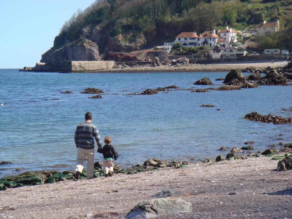 The Downs, Babbacombe Bed & Breakfast