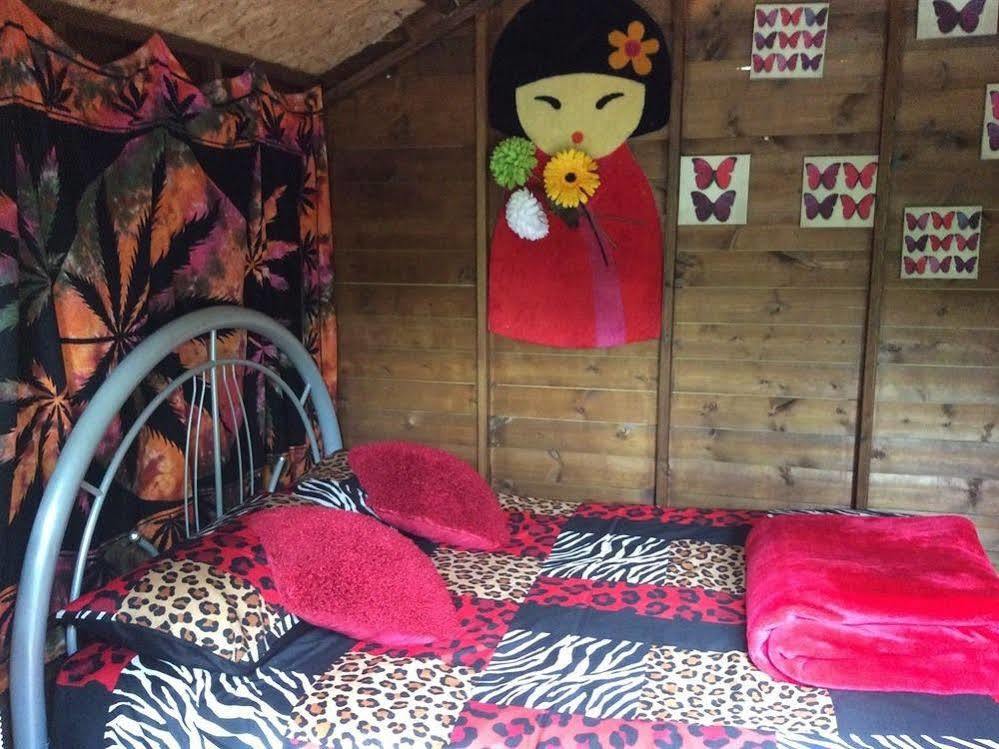 Hotel Le Papillon Backpacker