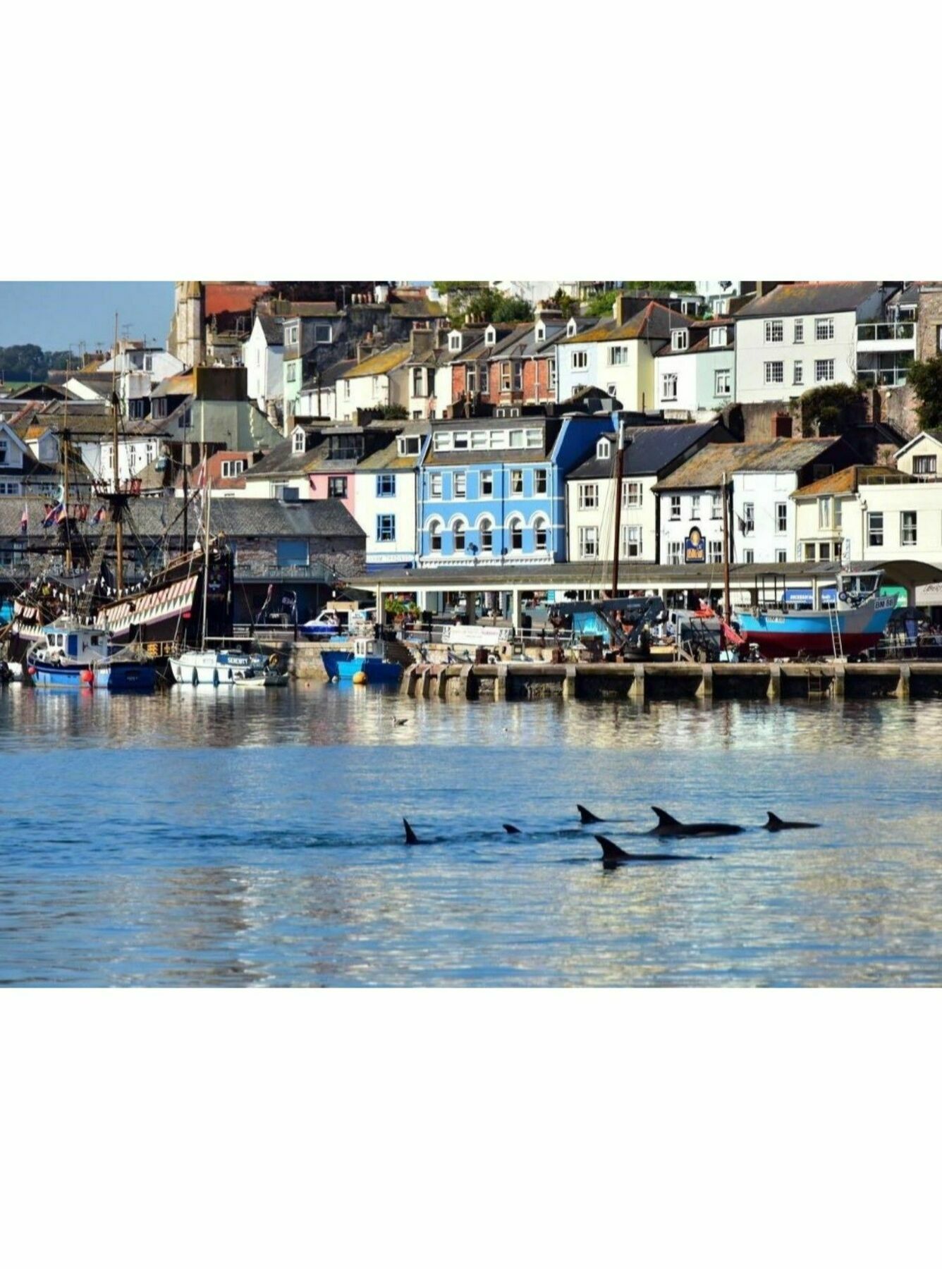 Trelawney - 4* Torquay