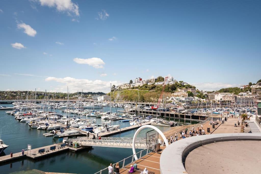 *brand New* Olive Grove Torquay