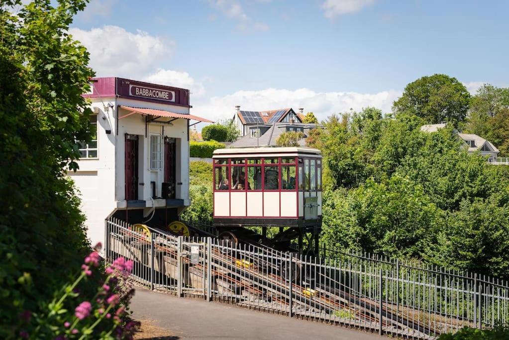 *brand New* Olive Grove Torquay