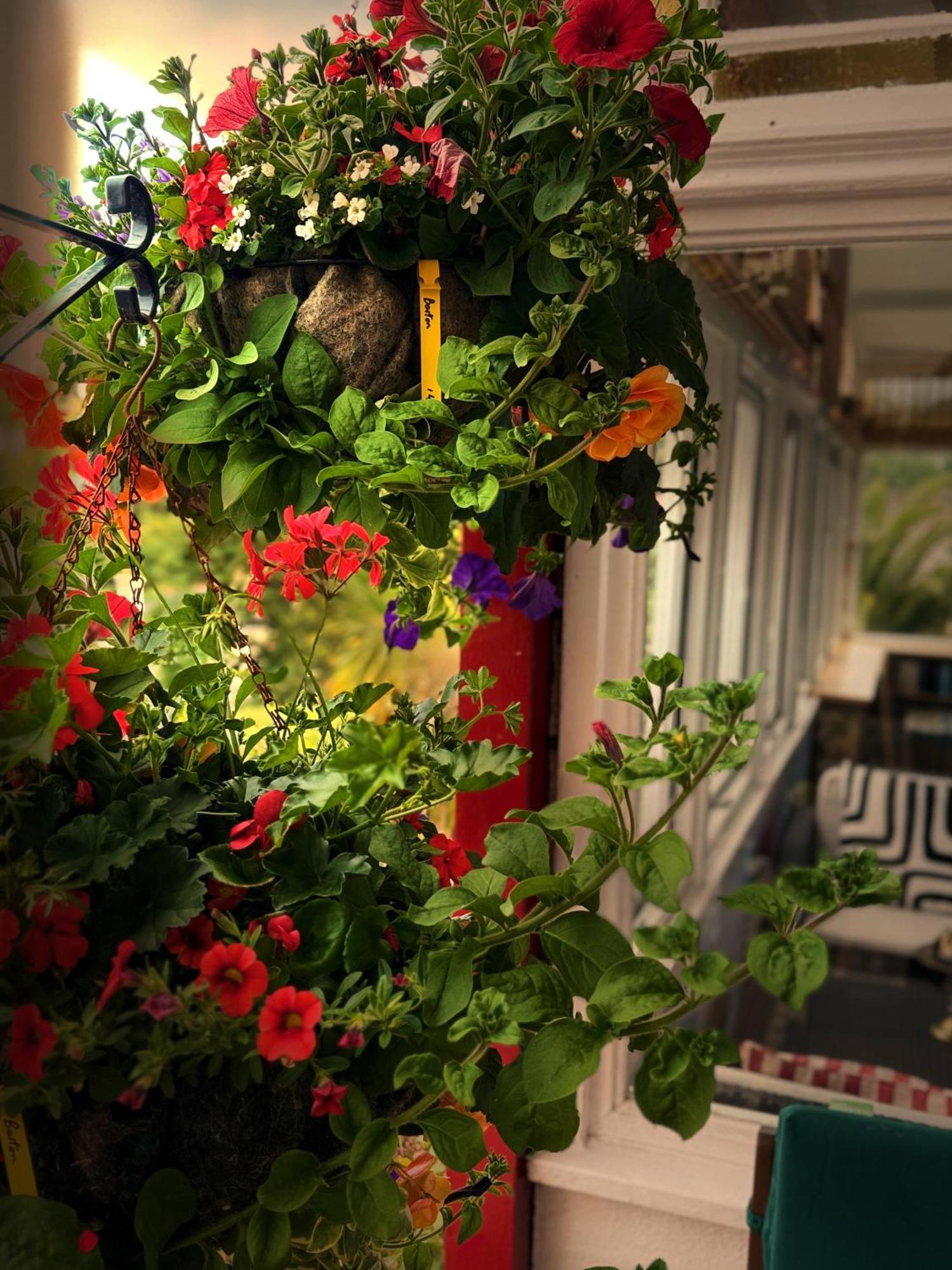 The Robin Hill Bed & Breakfast Torquay