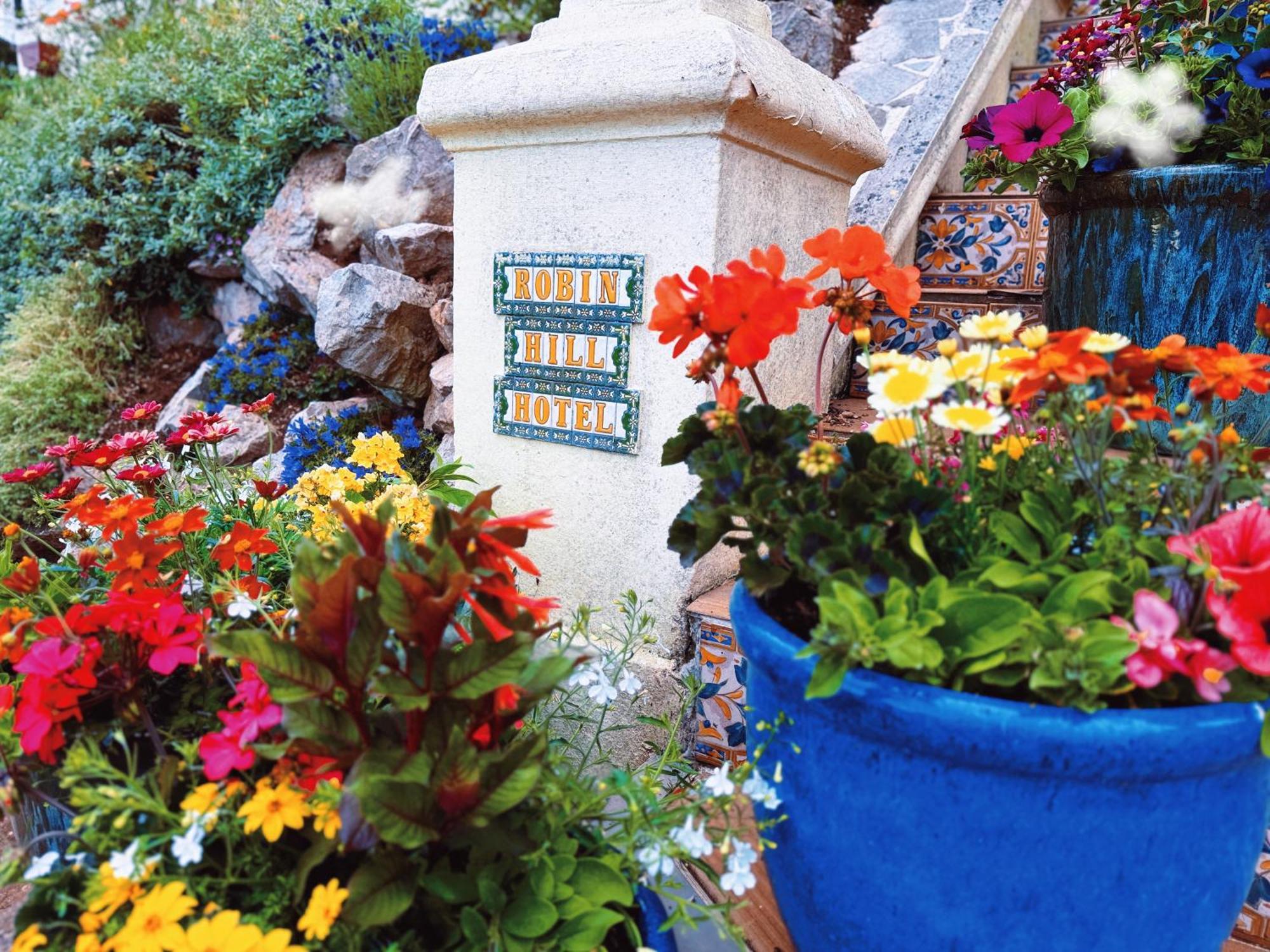 Bed & Breakfast The Robin Hill Torquay