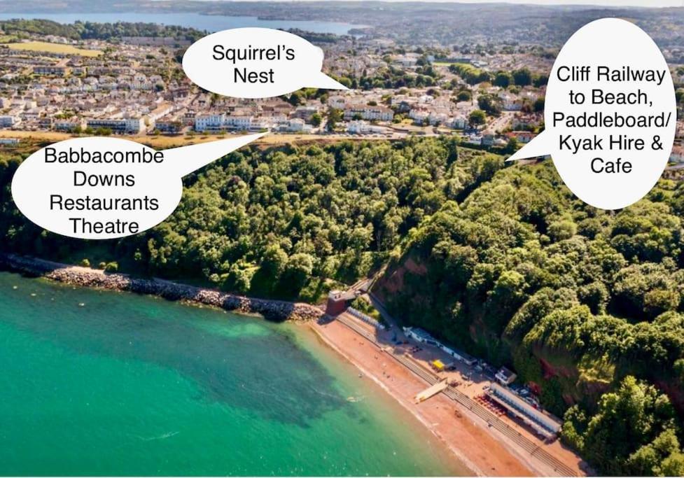 Squirrels Nest Apartment Torquay