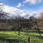 Apple Hut