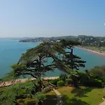 Tree Tops - A4 Masts