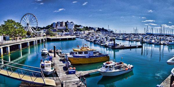 Torbay Rise - With Pool, Hot Tub, Sauna, Gym, Games And Cinema Room; Sea Views Holiday home