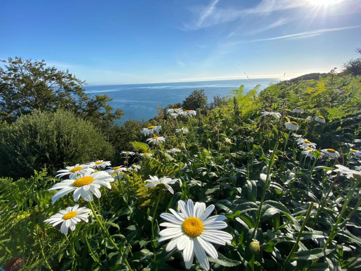 At Babbacombe *