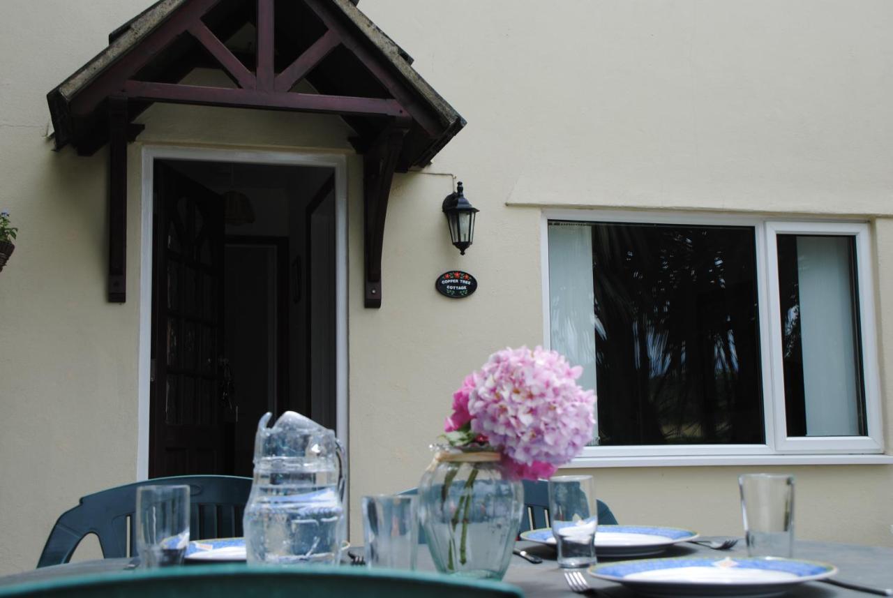 Holiday home Coppertree Torquay