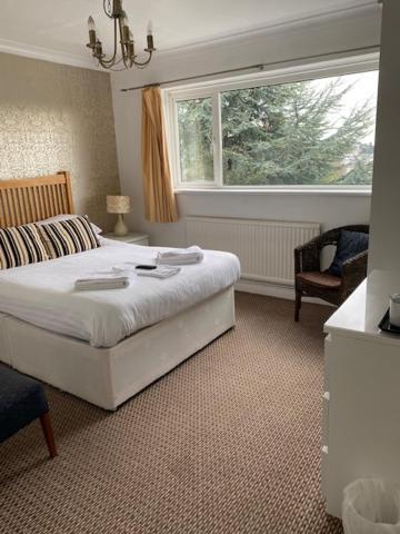 Nethway Torquay