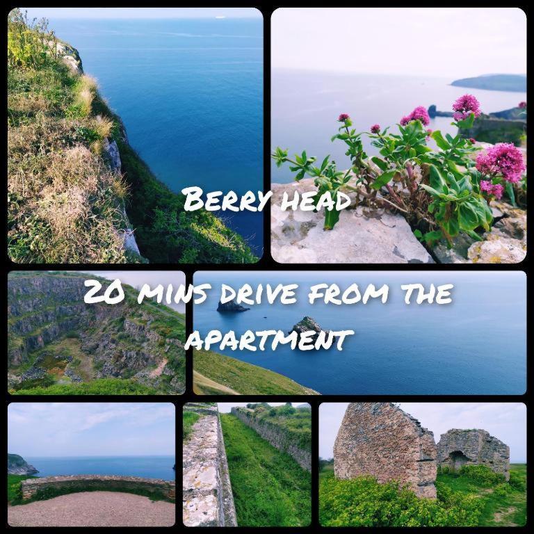 Tropical Escape In English Riviera Torquay