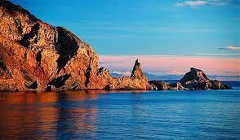 Homestay Halekulani Devon Torquay