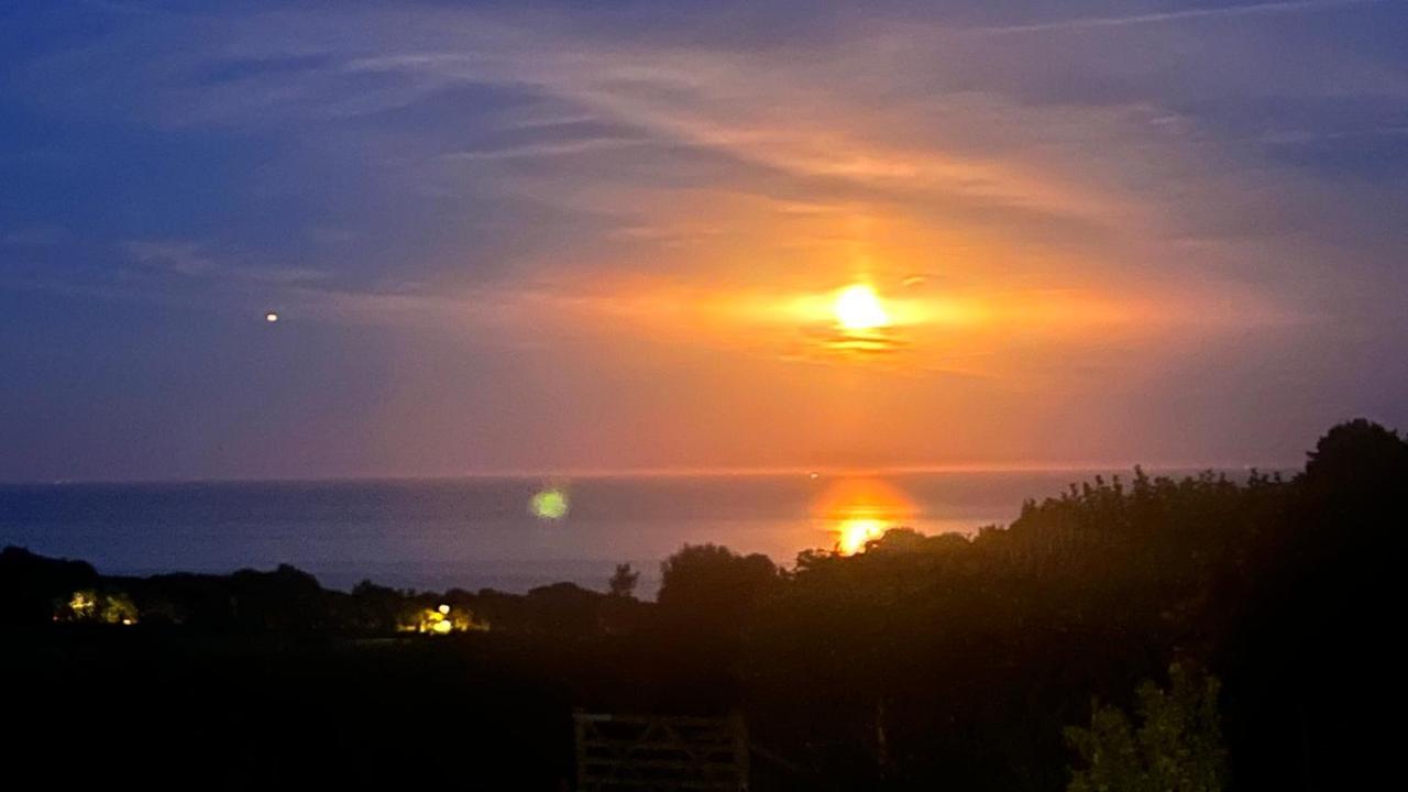 Homestay Halekulani Devon