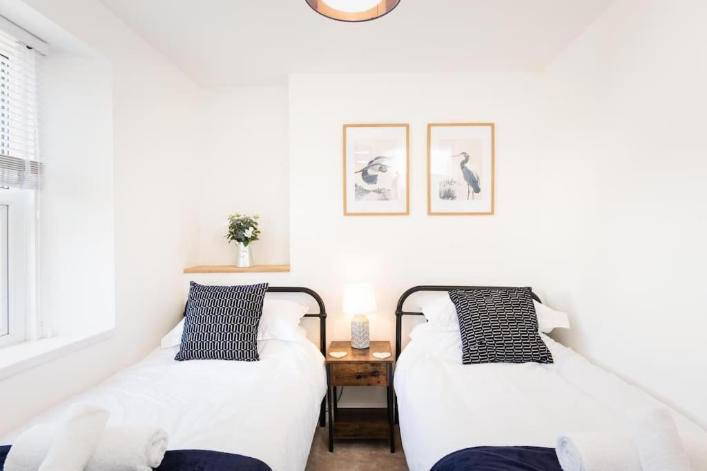 *brand New* Lemon Tree Torquay