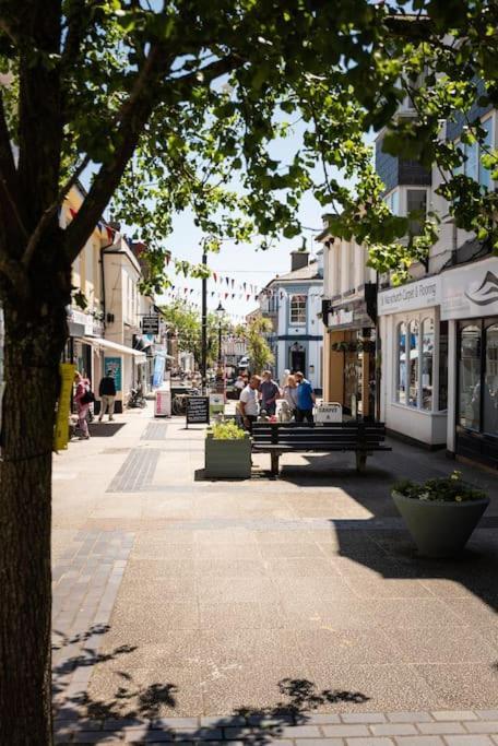 *brand New* Lemon Tree * Torquay