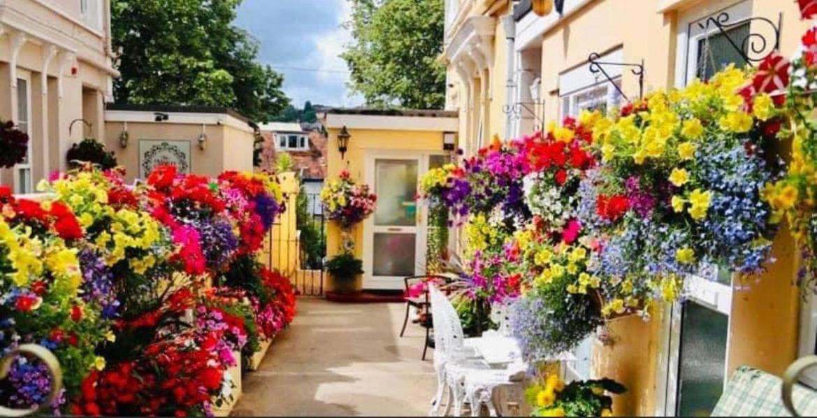 Acomodação com café da manhã  Crowndale - Exclusively For Adults Torquay