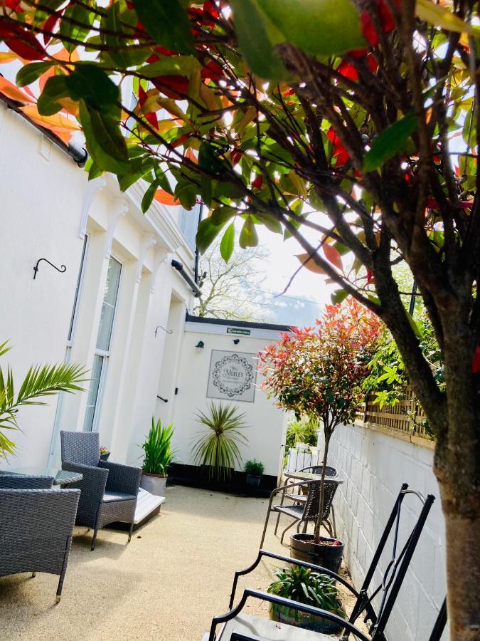 The Morley Torquay