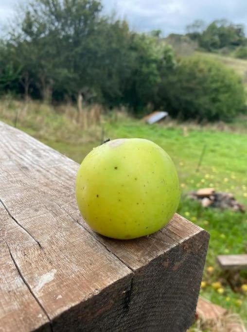 Apple Hut *
