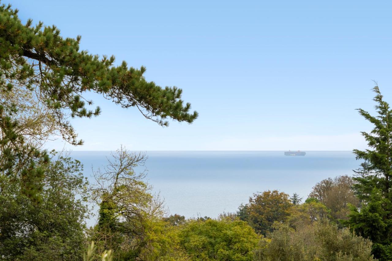Stunning Sea View Whole In Torbay Close To * Torquay