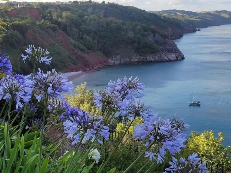 Coastal Retreat In Babbacombe - Cary Holiday home *