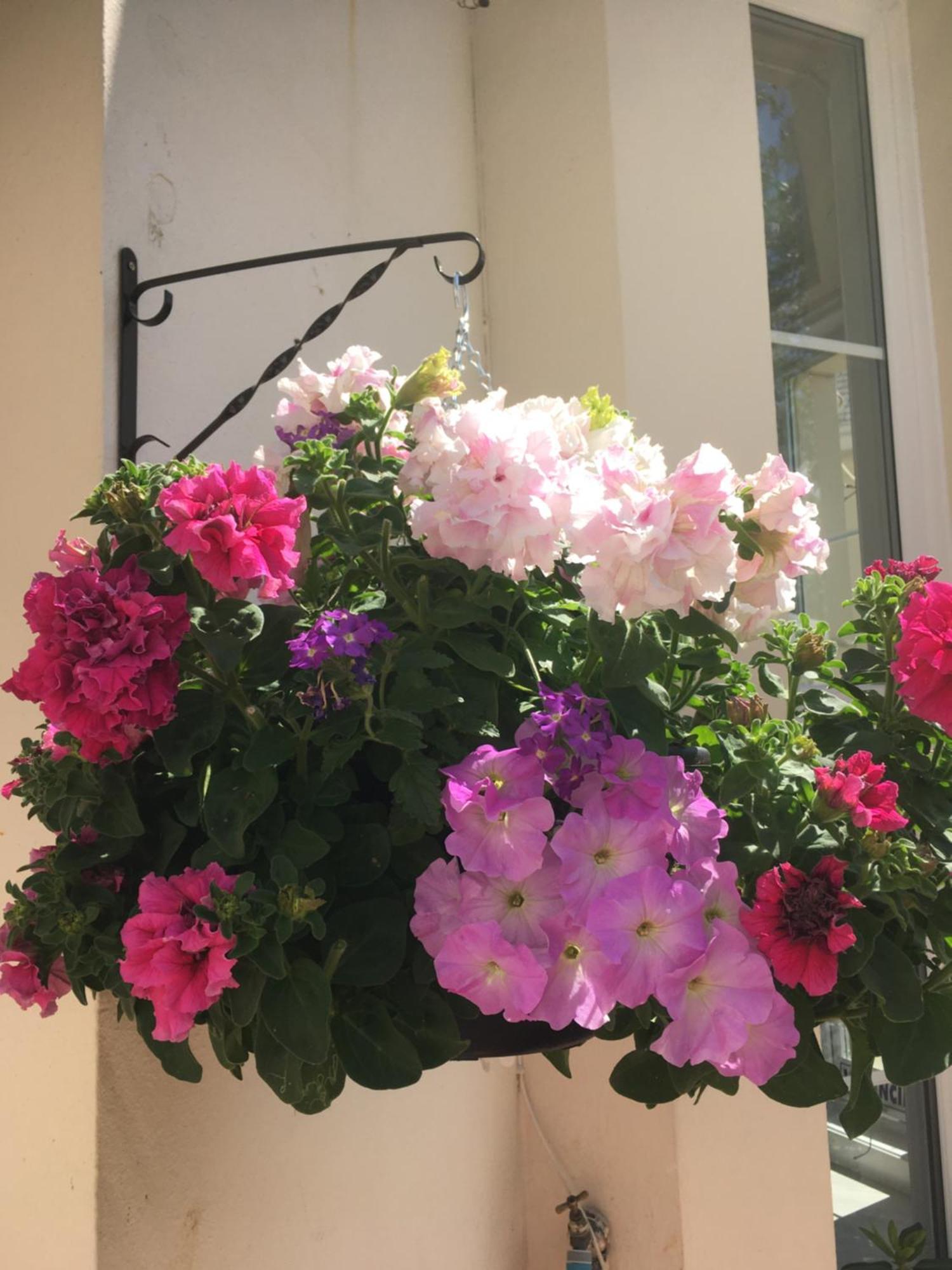 Guest house Fleurie Torquay