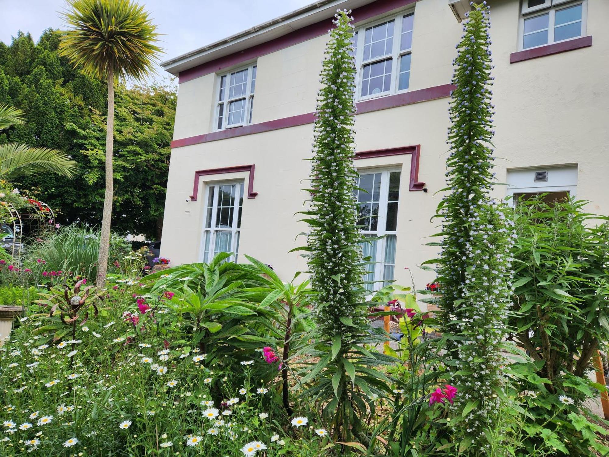 Rose Court * Torquay