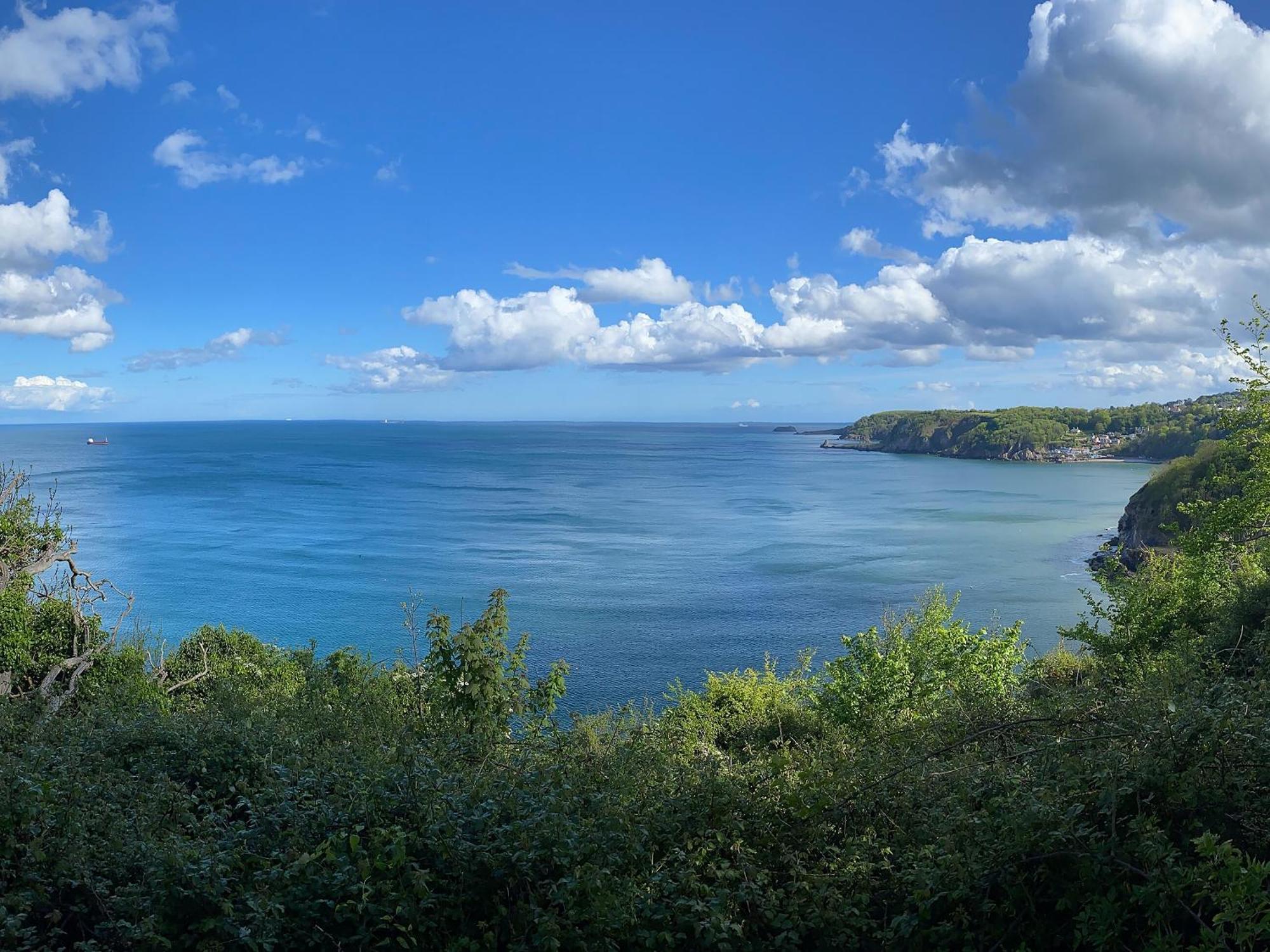 Cliff Torquay