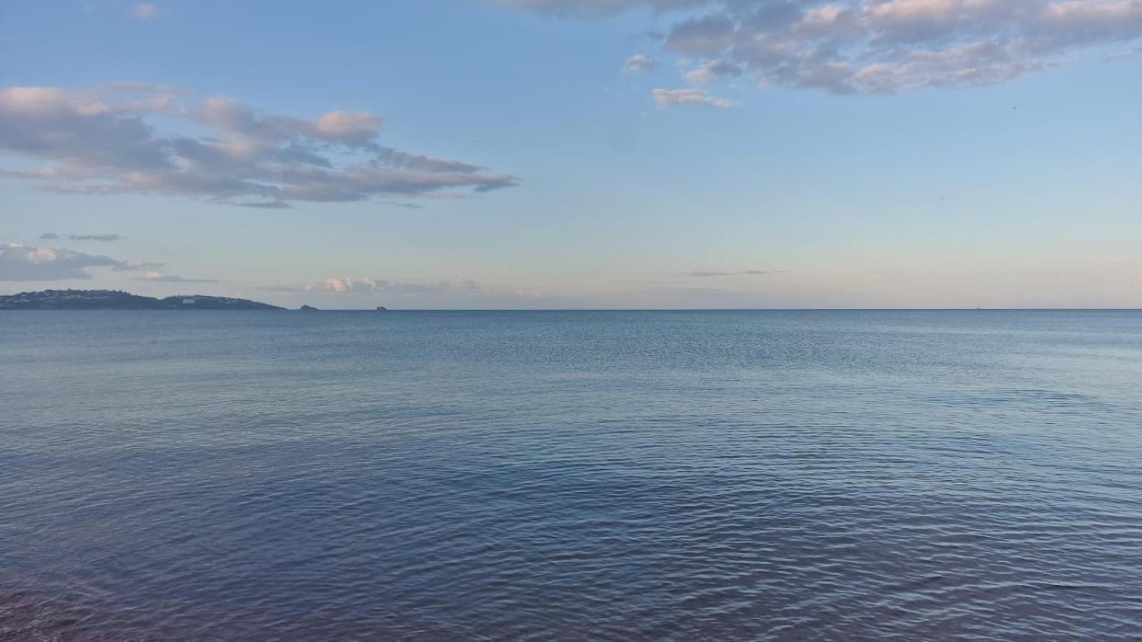Gull's View * Torquay