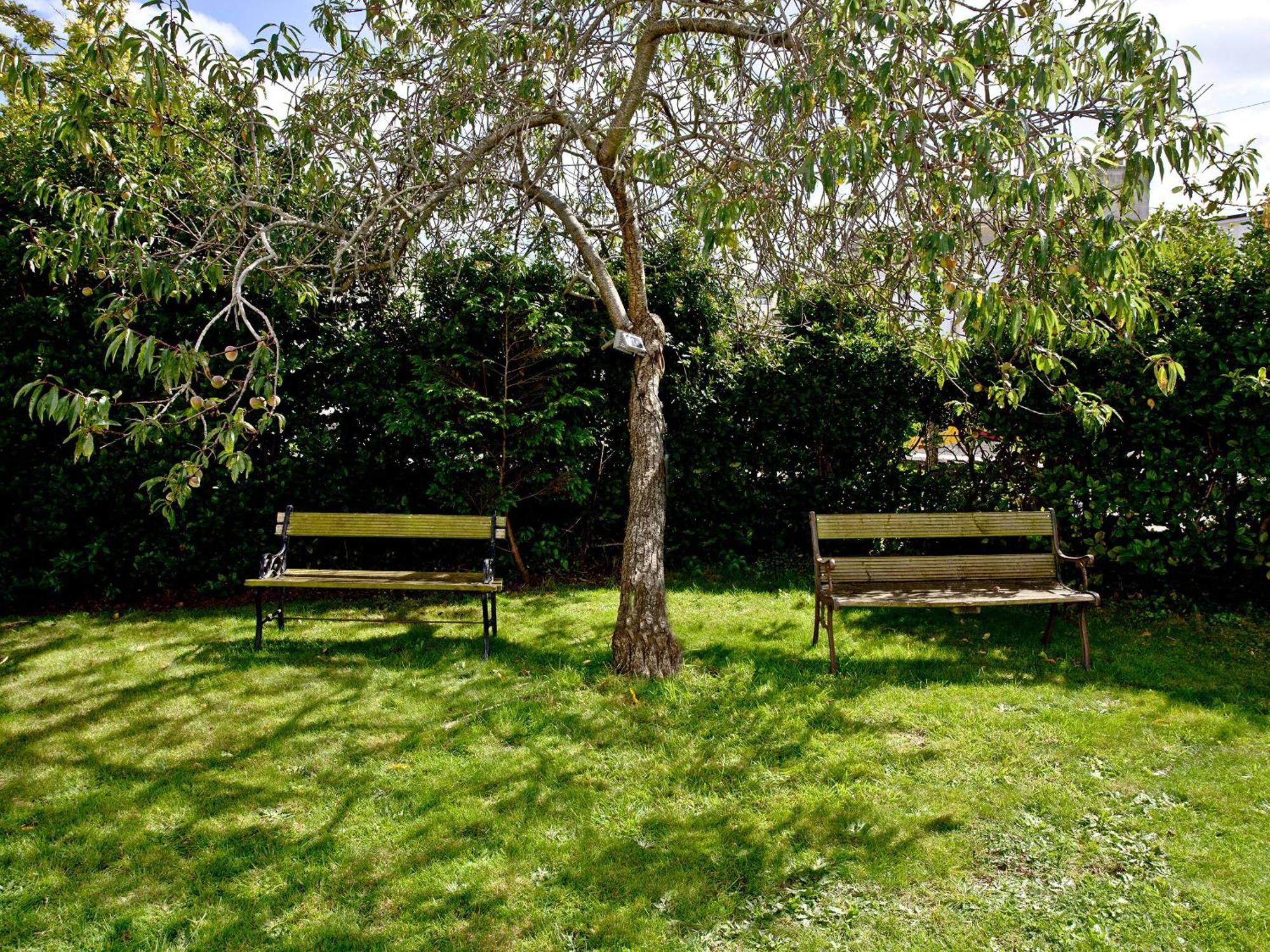 Devon Garden