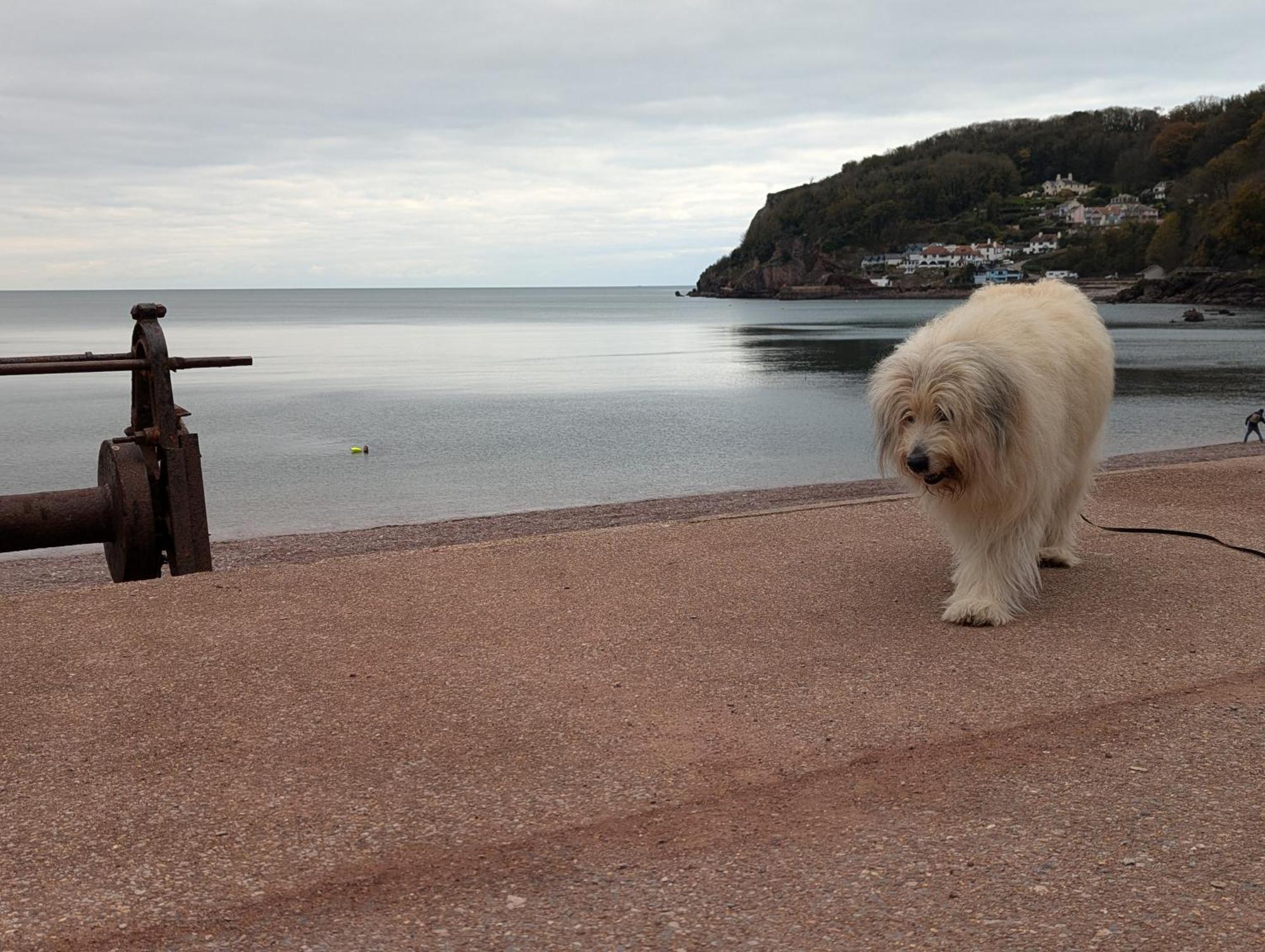 South Devon Retreat - Entire House - Family & Pet Friendly Torquay