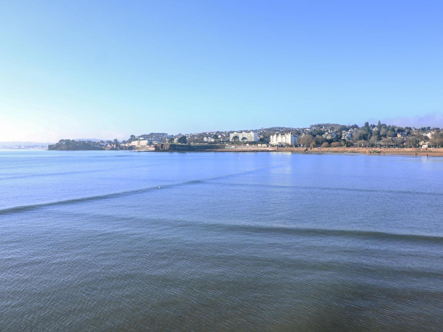 Delmonte Torquay