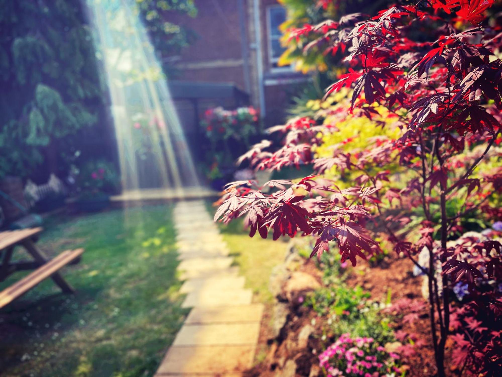 The Robin Hill Bed & Breakfast Torquay
