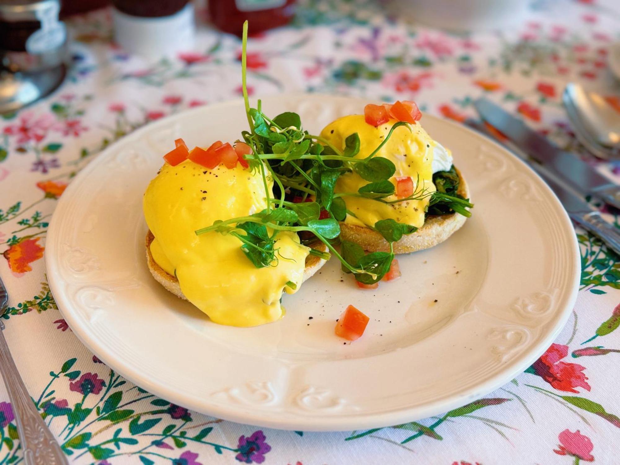 Bed & Breakfast The Robin Hill Torquay