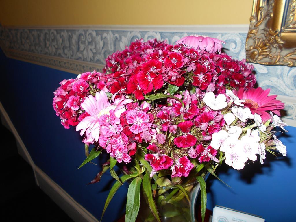 Guest house Cranborne Guest Exclusively For Adults 4*