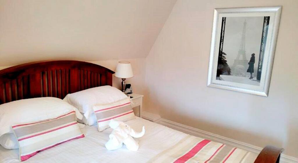 Guest house Braddon Hall Torquay