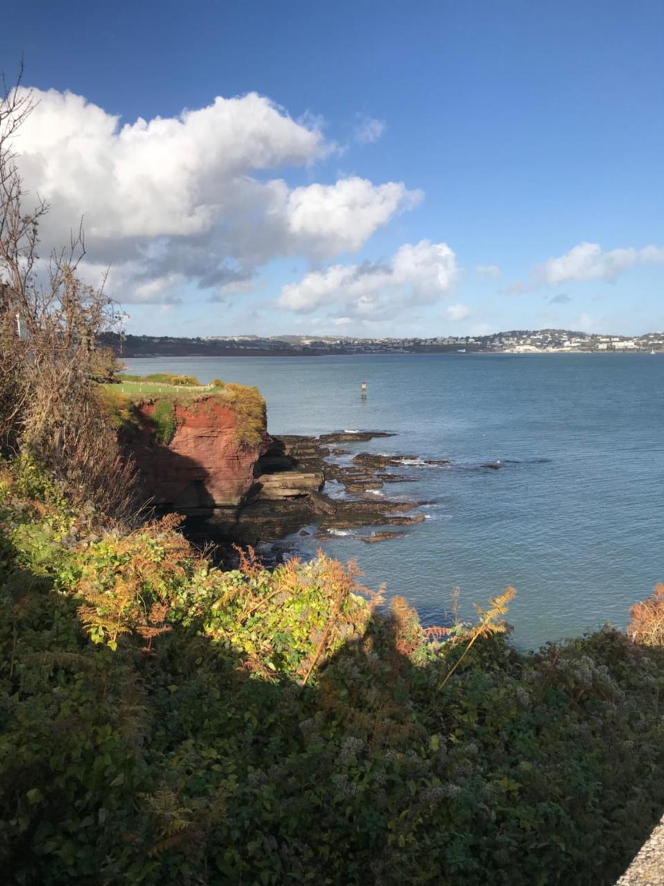 Guest house Elmdene Torquay