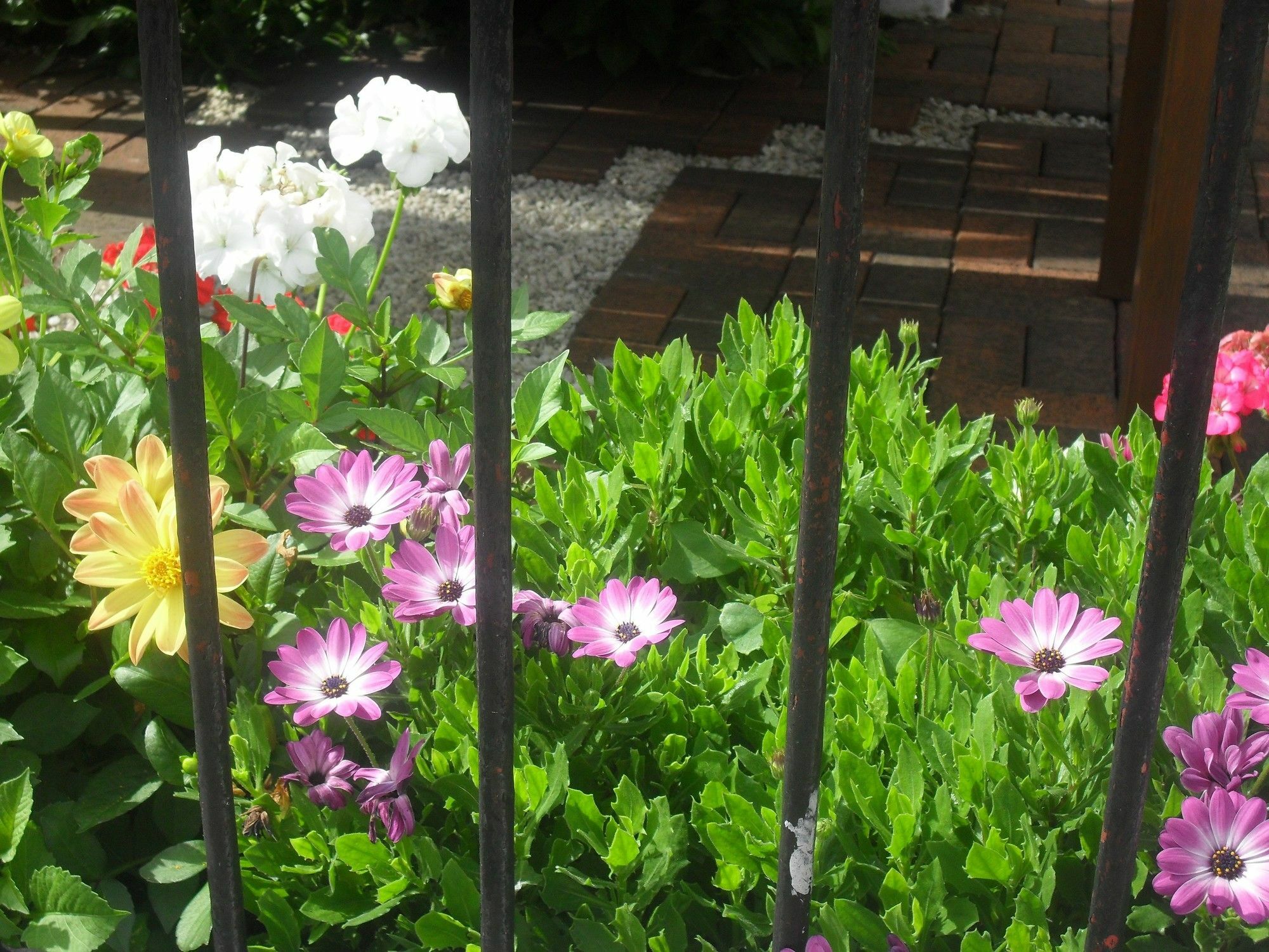 Sandway House Guest house 4*