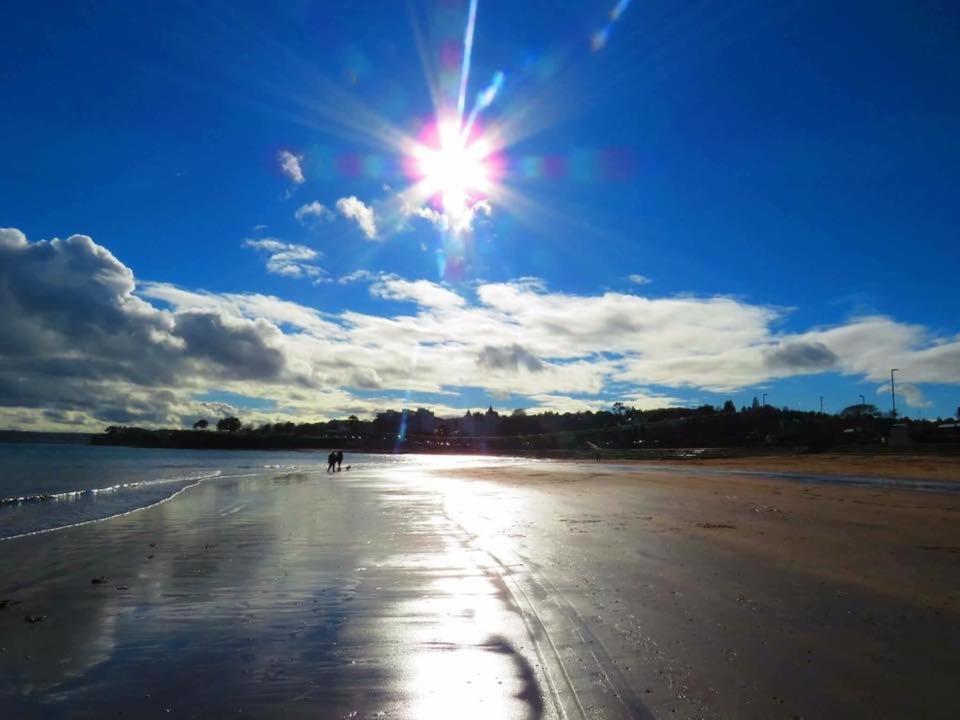 Crowndale - Exclusively For Adults Torquay