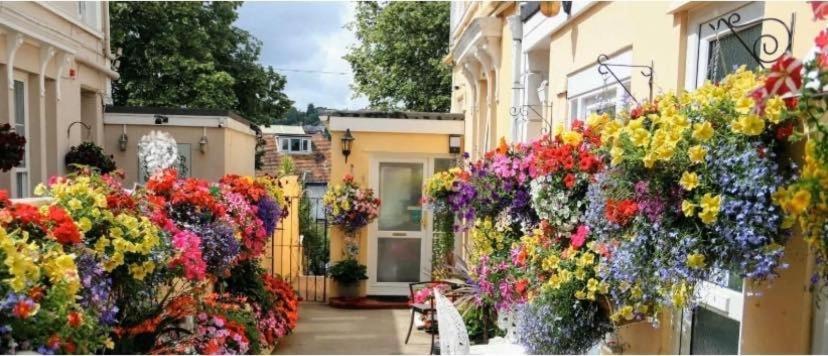 Crowndale - Exclusively For Adults Torquay