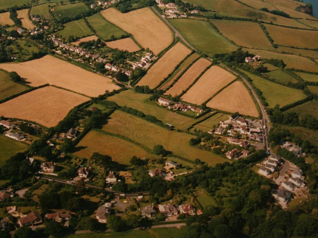 Devon Palms Holiday And Cottages Torquay