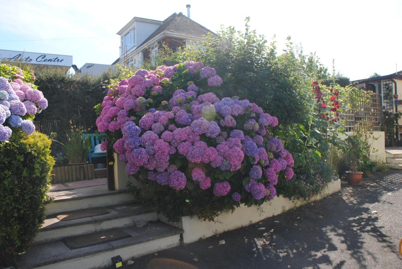 Devon Palms Holiday And Cottages *