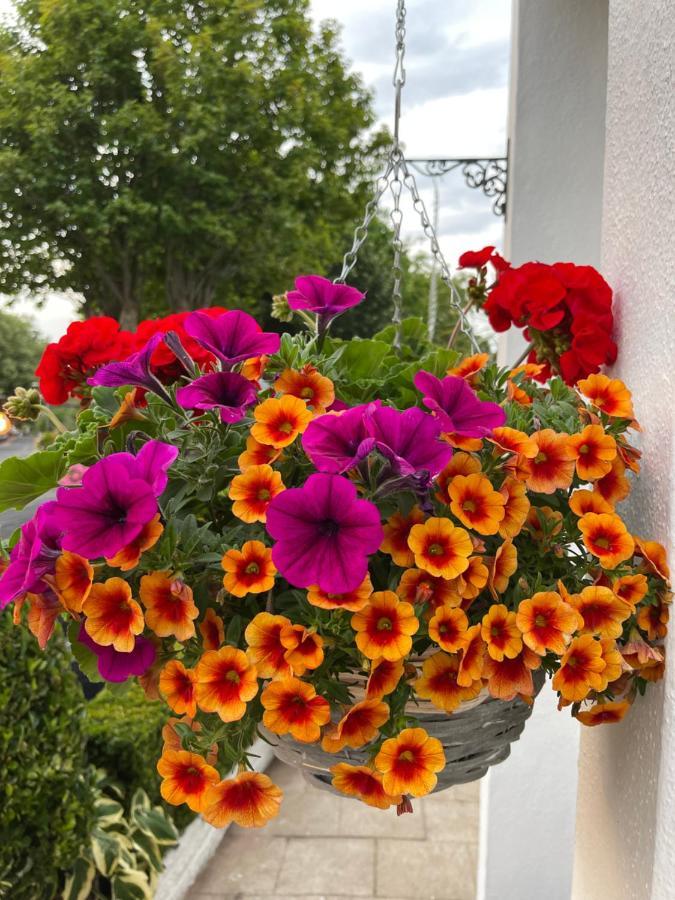 Guest house Kings Torquay