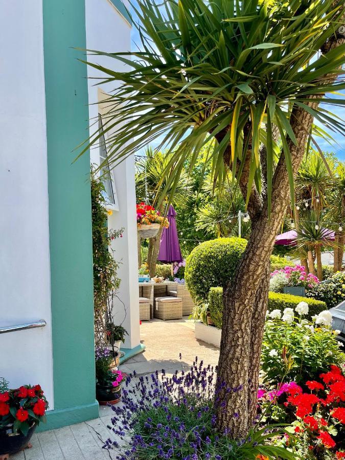 Kings Torquay