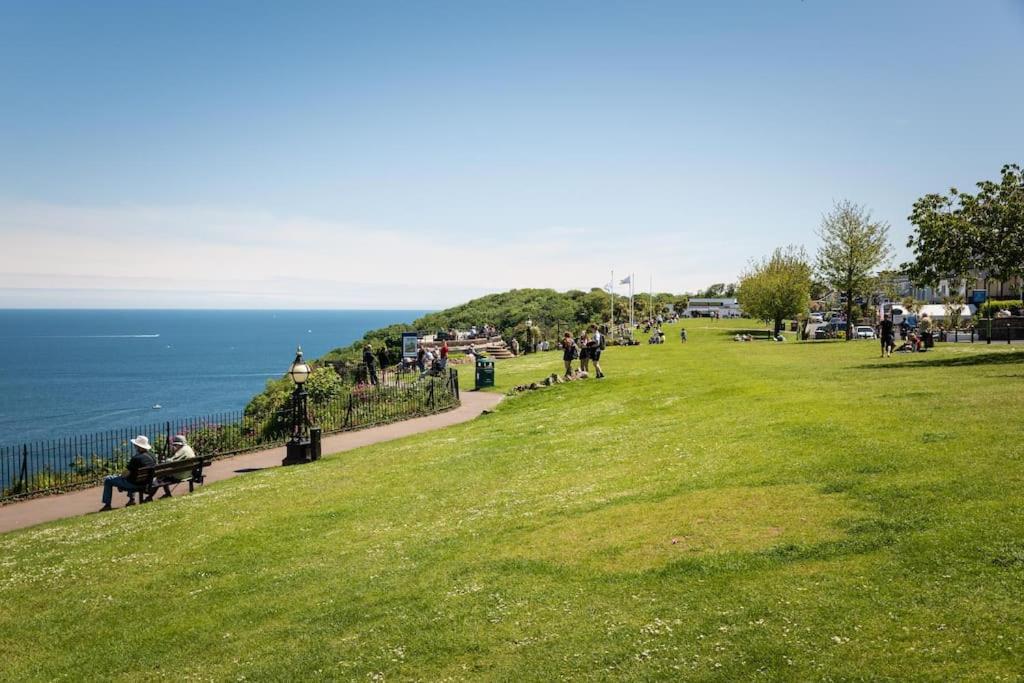 *brand New* Olive Grove * Torquay