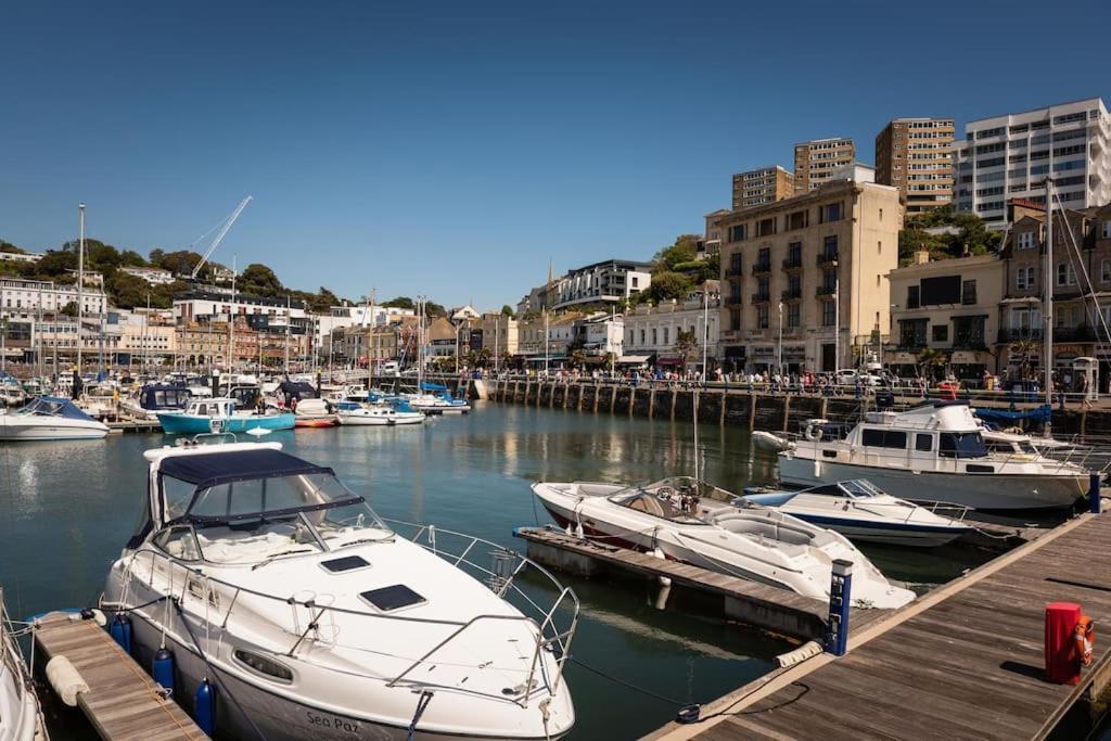 *brand New* Olive Grove Torquay