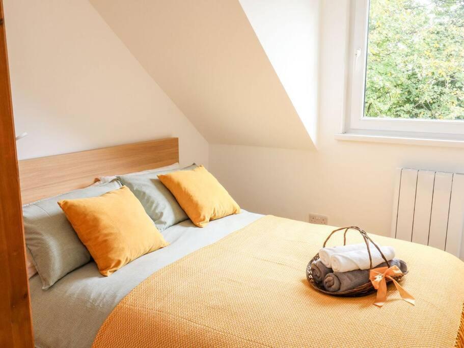 Cozy Seaside Hideaway With Free Parking Apartment *