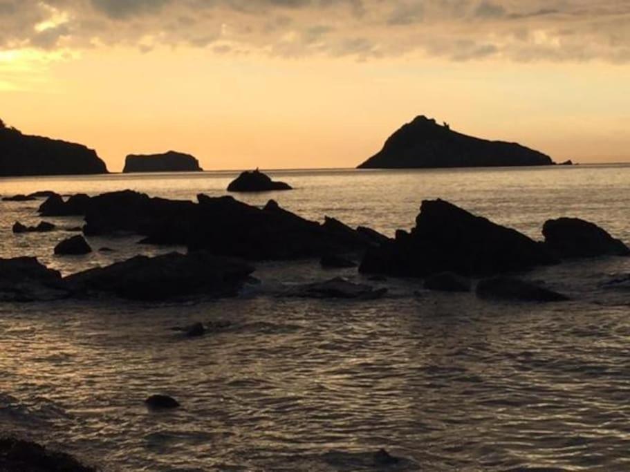 Torquay *